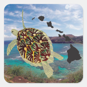 Hawaii Turtles Square Sticker