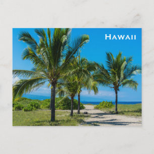 Hawaii Vintage Tourism Travel Add Postcard