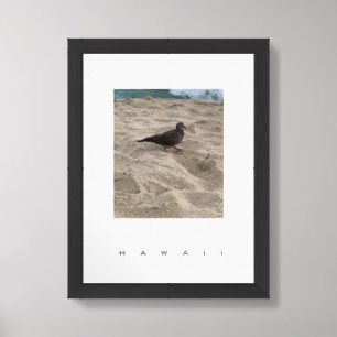 Hawaii Wildlife Dove Travel Photography Poster