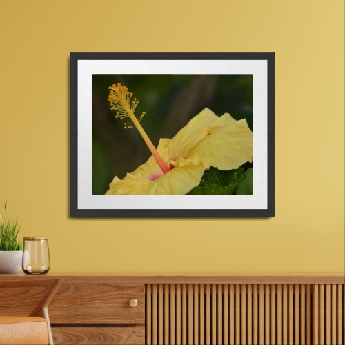 Hawaii Yellow Hibiscus Flower Framed Art