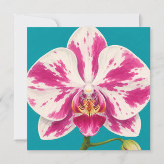 Hawaiian aloha art card blank back