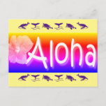 Hawaiian Aloha Postcard