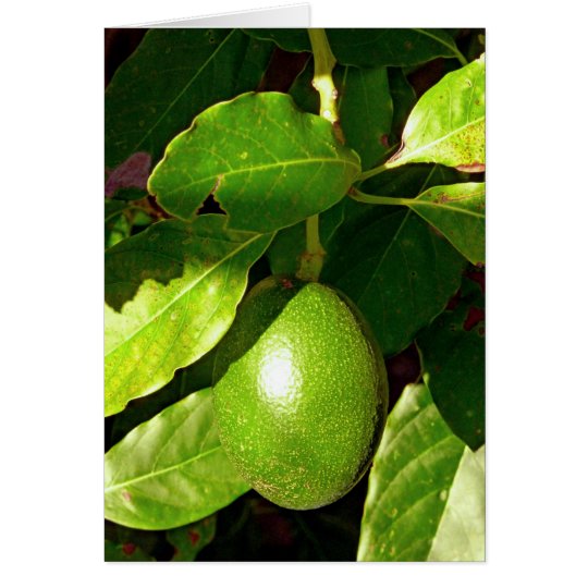 Hawaiian Avocado Card
