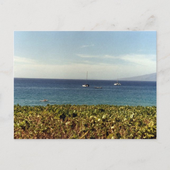 Hawaiian Beach II Postcard (Front)