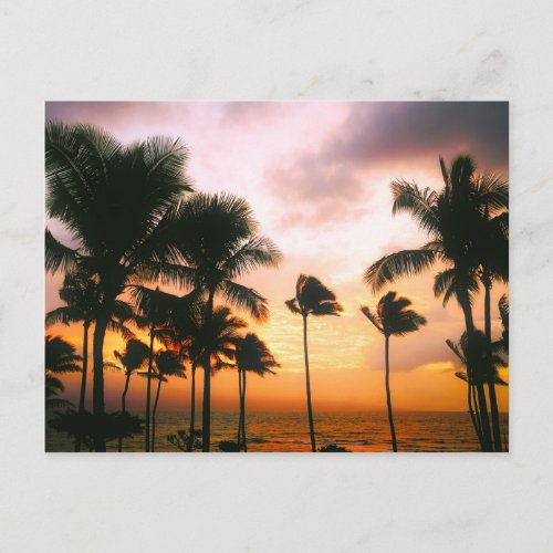 Hawaiian Beach Palm Trees Sunset _ Hawaii Travel Postcard