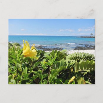 Hawaiian Beach Postcard by pulsDesign at Zazzle