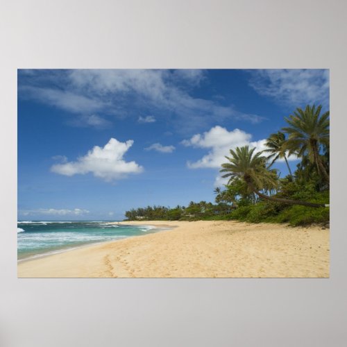 Hawaiian Beach poster FROM  899