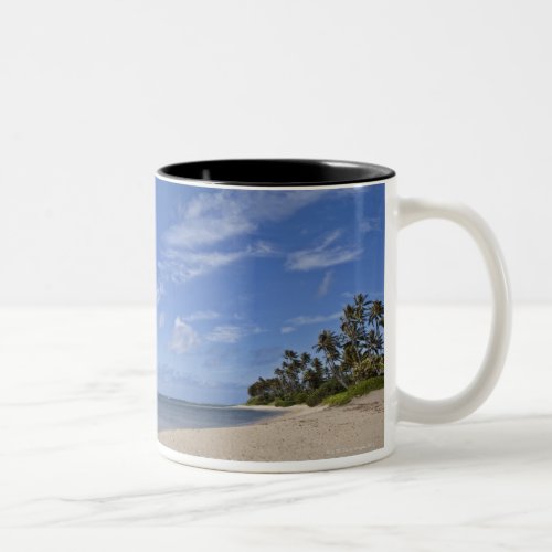 Hawaiian beach with palm trees Two_Tone coffee mug