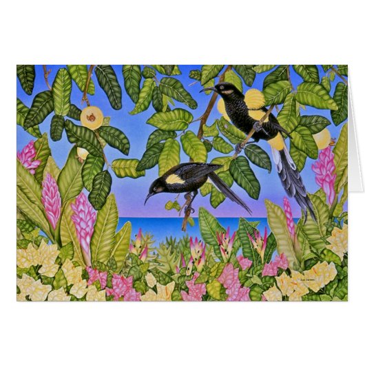 Hawaiian Bishop's O'o Cards (Front Horizontal)