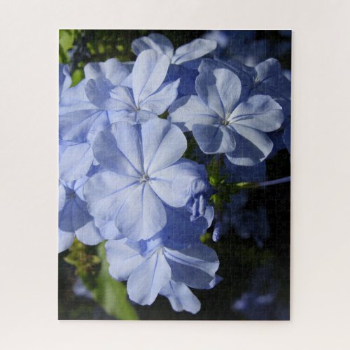 Hawaiian Blue Plumbago flower  Jigsaw Puzzle