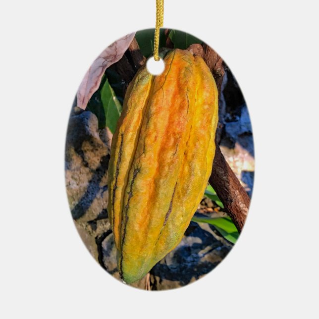 Hawaiian Cacao Pod Ceramic Ornament (Front)