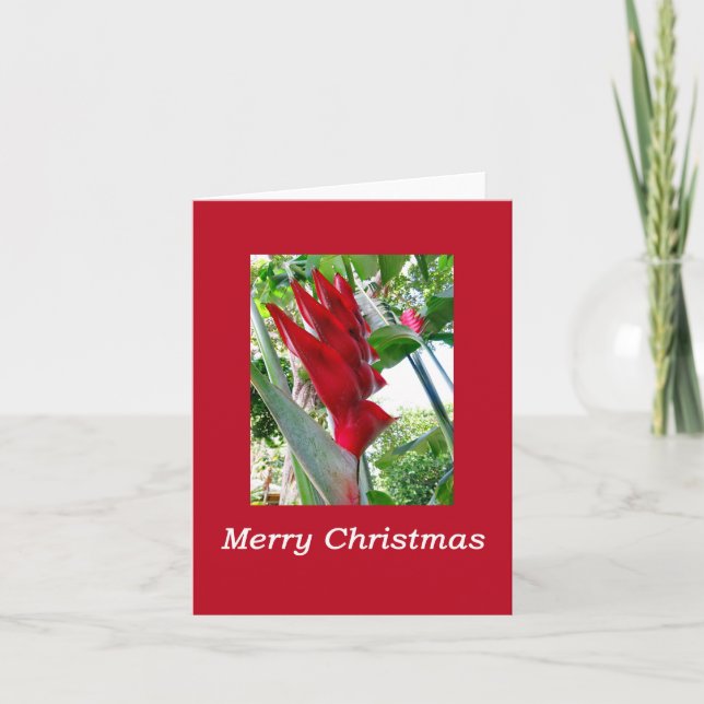Hawaiian Christmas Card (Front)