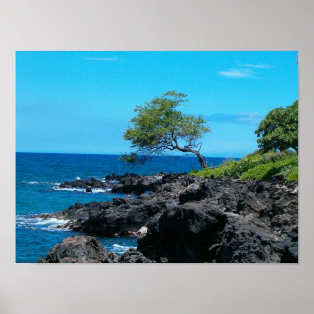 Hawaiian Coastline Poster (Front)
