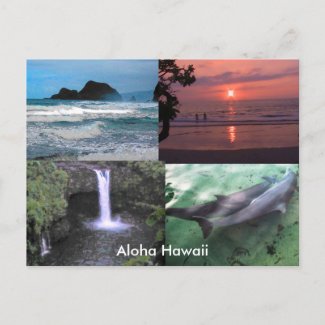 Hawaiian Collection postcard