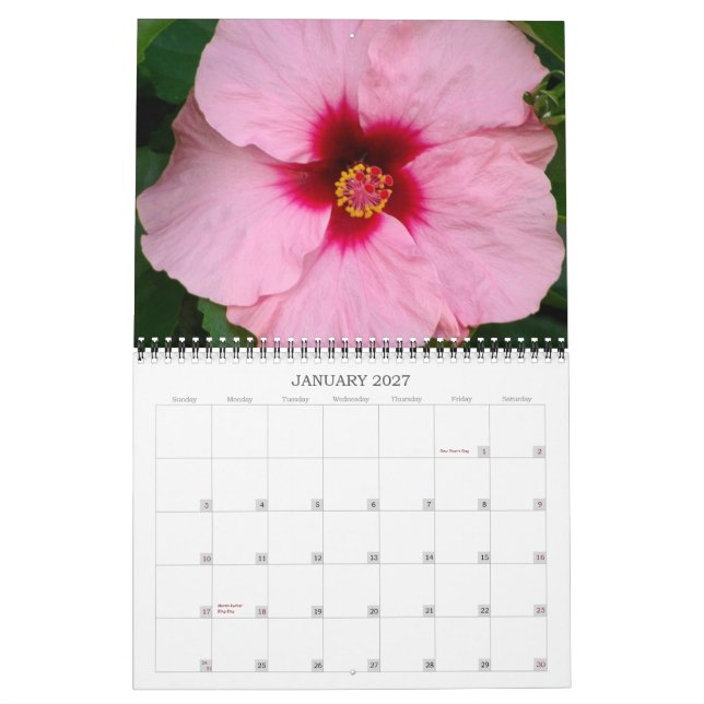 Hawaiian Color 2012 Calendar (Jan 2027)