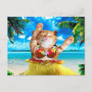 Hawaiian dancer cat postcard