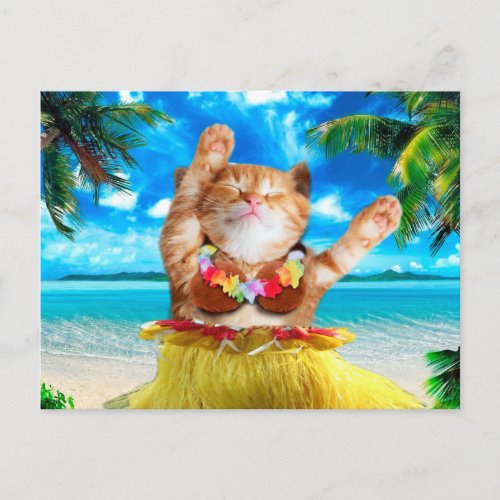 Hawaiian dancer cat postcard