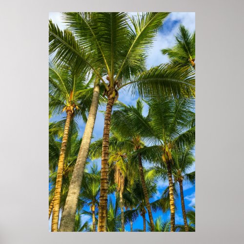 Hawaiian Exotic Beach Palm Trees Poster