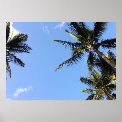 Hawaiian Exotic Beach Palm Trees Poster