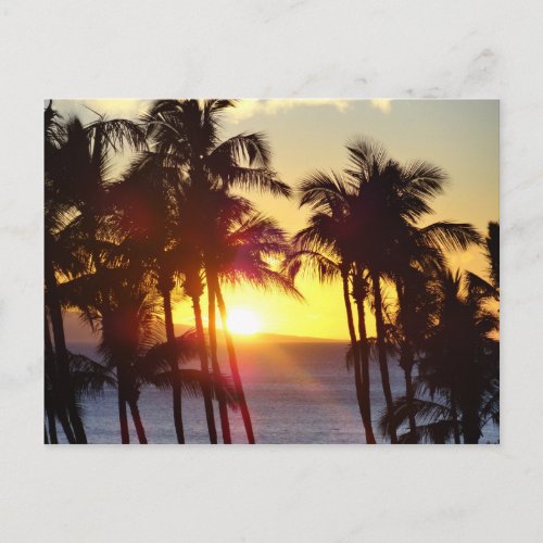 Hawaiian Exotic Beach Palm Trees Sunset Postcard