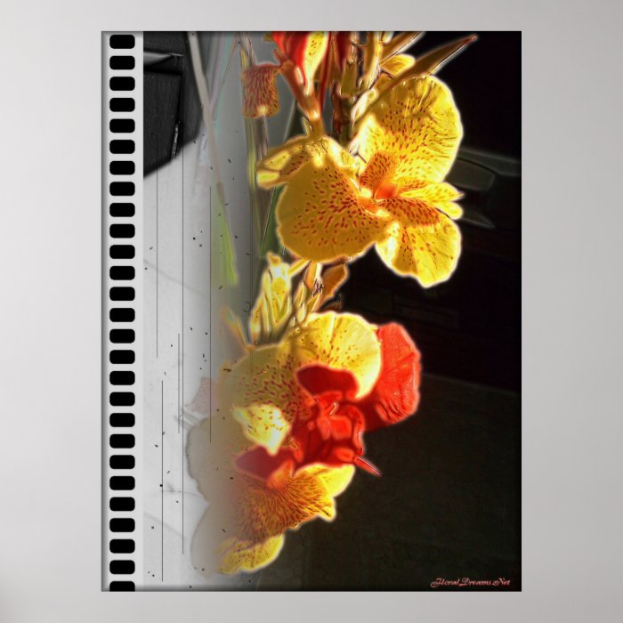 Hawaiian Flame Flowers Poster2 (Film Strip Effect)