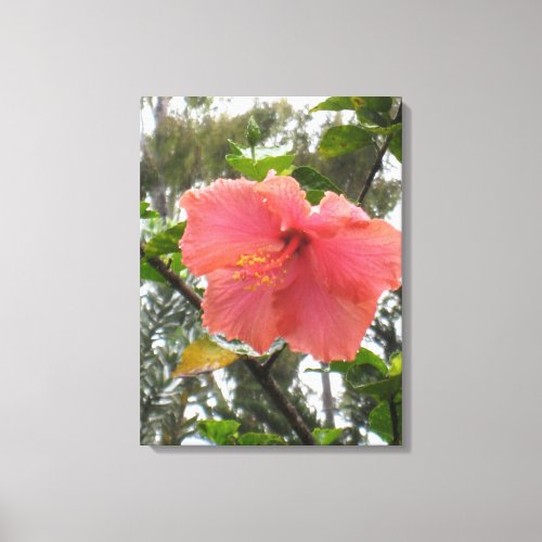 Hawaiian Flower Canvas Print