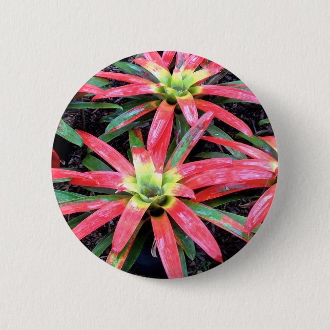 Hawaiian Flower Round Button (Front)
