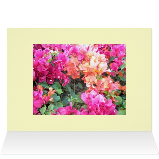 Hawaiian Flowers (Inside Horizontal (Top))