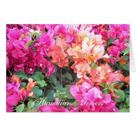 Hawaiian Flowers Cards (Front Horizontal)