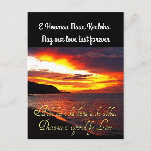 Hawaiian forever Love Postcard