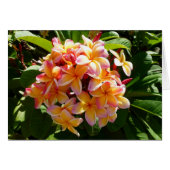 Hawaiian Frangipani (Front Horizontal)