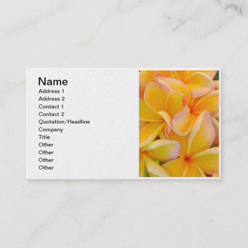 Hawaiian Frangipani Business Cards