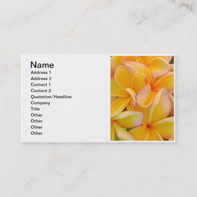 Hawaiian Frangipani Business Card (Front)