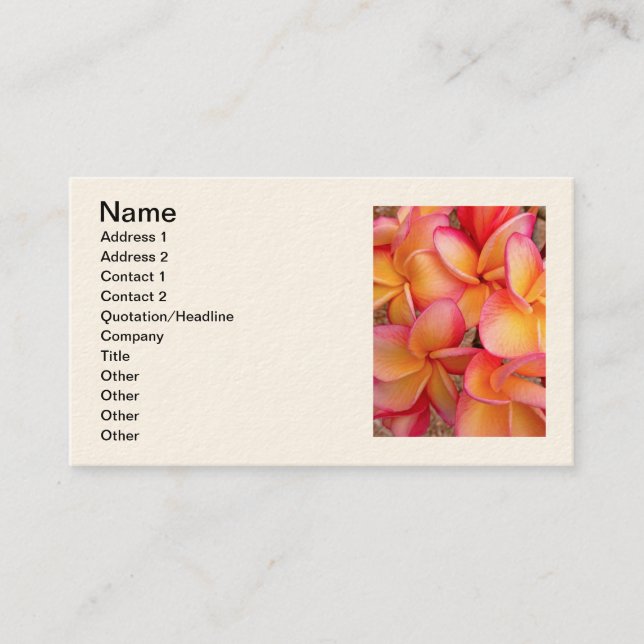 Hawaiian Frangipani Business Card (Front)