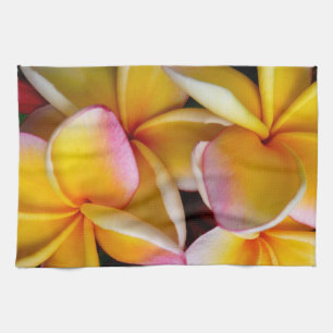 Hawaiian Frangipani Towel