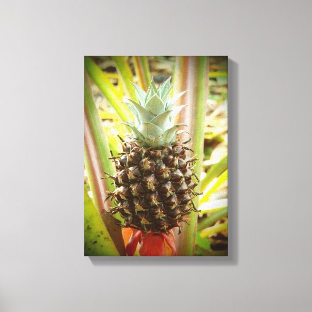 Hawaiian fresh grown pineapple canvas artwork print (Front)