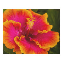 Hawaiian Flowers Canvas Art Prints Zazzle