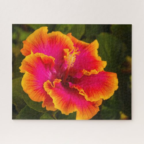 Hawaiian Fuchsia and Orange Hibiscus from Kauai Jigsaw Puzzle