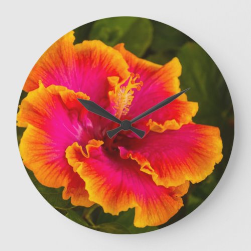 Hawaiian Fuchsia and Orange Hibiscus from Kauai Large Clock
