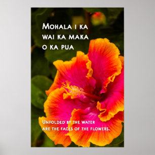 Hawaiian Fuchsia and Orange Hibiscus Motivational Poster