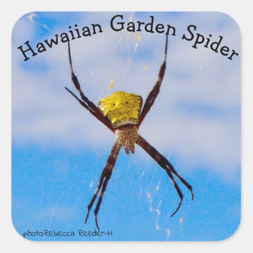 Hawaiian Garden Spider Square Sticker