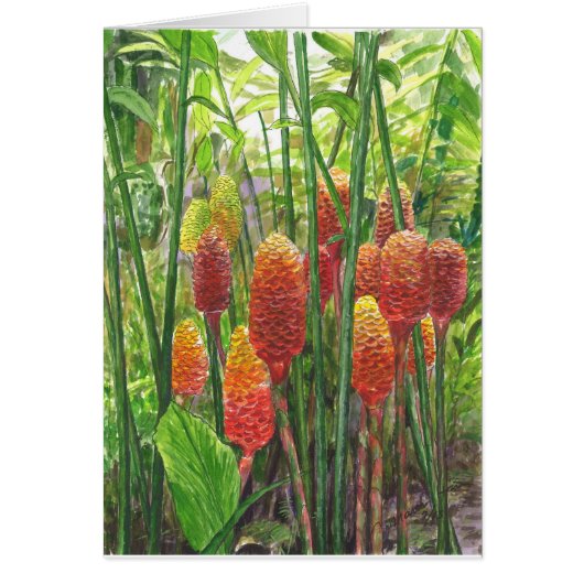 Hawaiian Ginger Plants Cards (Front)