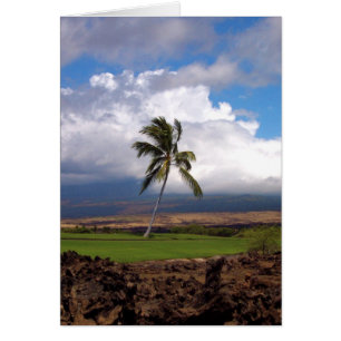 Hawaiian Golf Course View