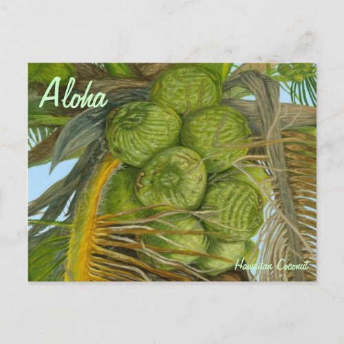 Hawaiian Green Coconut Postcard
