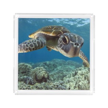 Hawaiian Green Sea Turtle Acrylic Tray by wildlifecollection at Zazzle