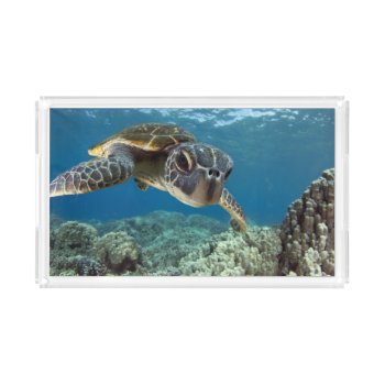 Hawaiian Green Sea Turtle Acrylic Tray by wildlifecollection at Zazzle