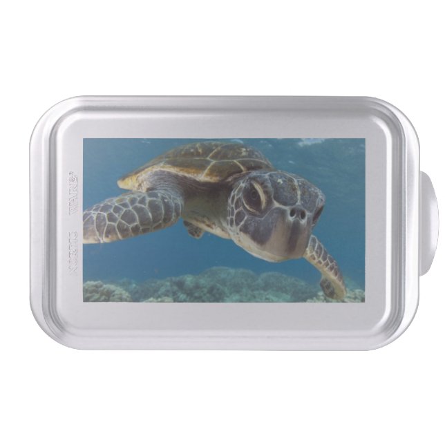 Hawaiian Green Sea Turtle Cake Pan (Front)