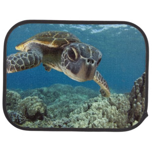 Hawaiian Green Sea Turtle Car Mat