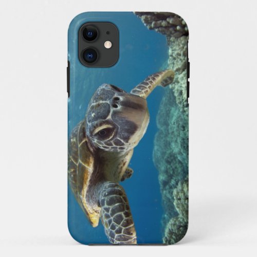 Hawaiian Green Sea Turtle iPhone 11 Case