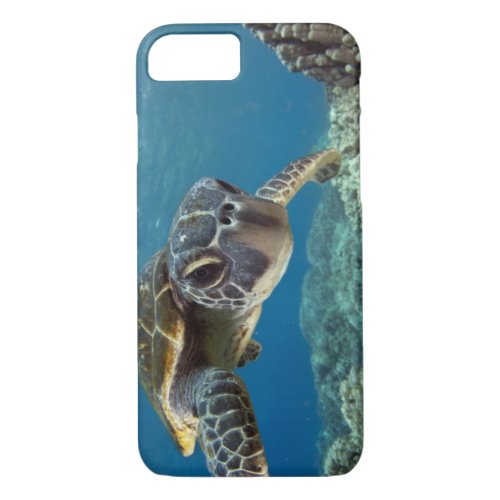 Hawaiian Green Sea Turtle iPhone 87 Case